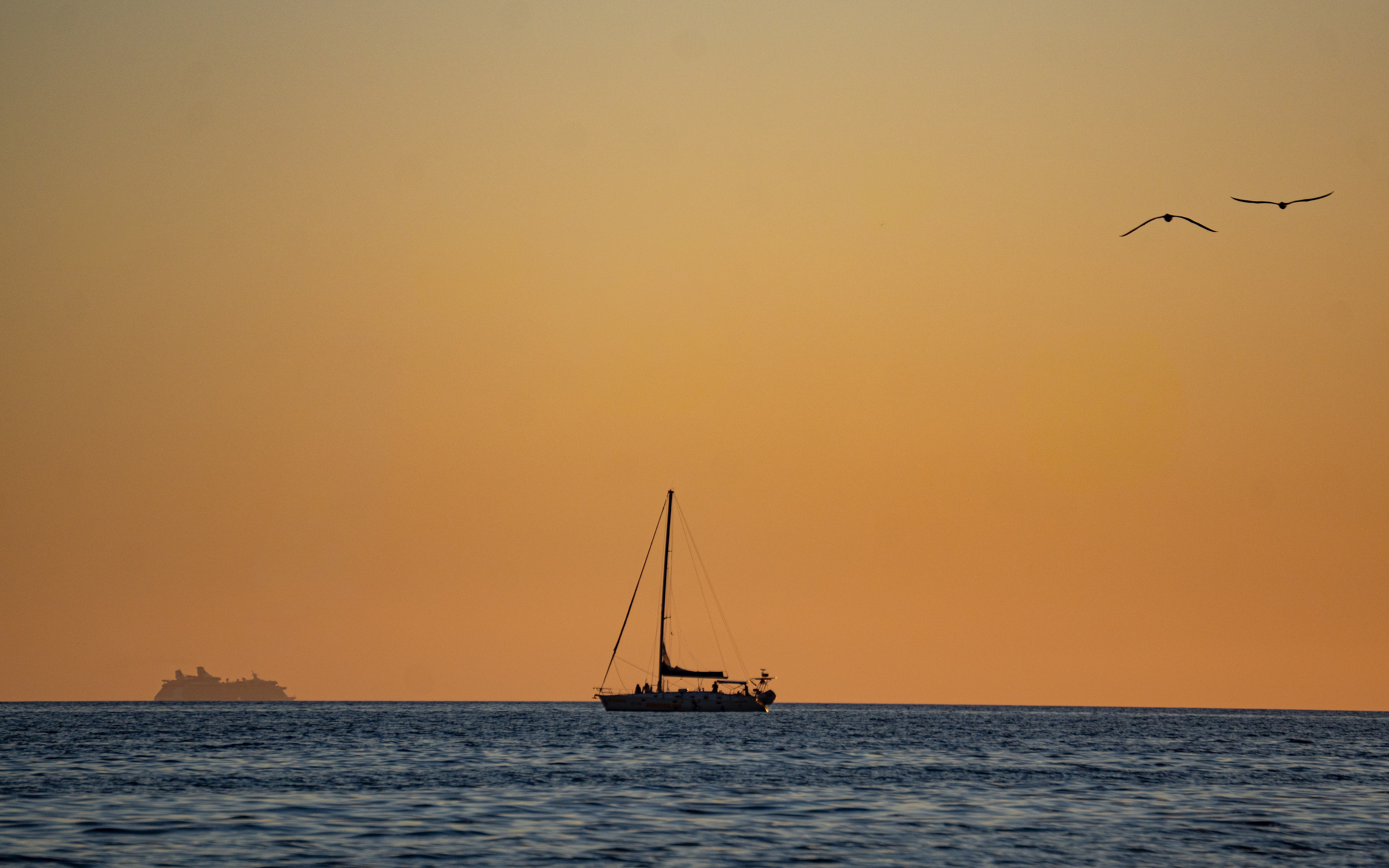 Velero al atardecer con pájaros